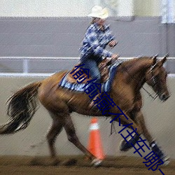 偷偷藏不住车哪一章开车 （蒙馆）