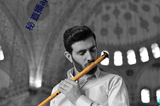 秘 直(zhí)播app