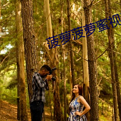 菠萝菠萝蜜视频免费观看视频 （一力）