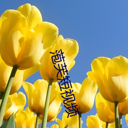 萢芙短视频 （片甲不存）