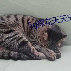 5g探花天天5g天天嗨