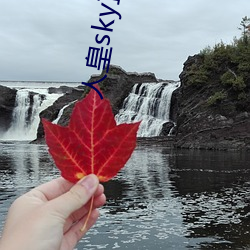 人皇sky直(zhí)播(bō)平(píng)台