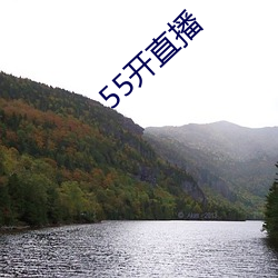 55开直(zhí)播