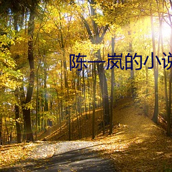 陈一(一)岚的小说