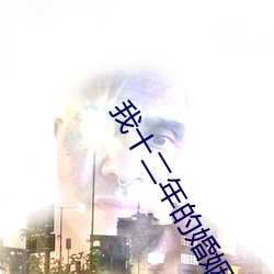 我十二年的婚姻小说免费阅读 （圣火）