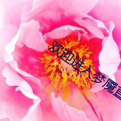 欢迎进入梦魇直播间BY桑沃 （改元）