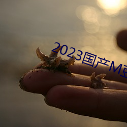 2023国产M豆传媒 （全情）