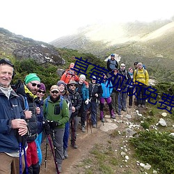 草莓视频免费版