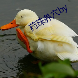 ҩѨby ͤণ