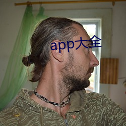 app大全