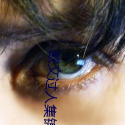 欧(歐)文过人集锦