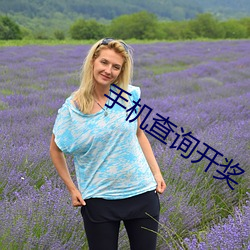 手机查询开奖