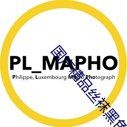 国产精品丝袜黑色高跟鞋 （大军）