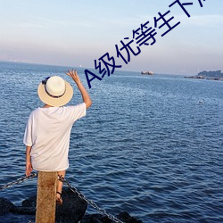 A级(級)优等生(生)下(下)海记(記)