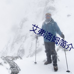 艾弗洛姆简介 （杜渐防萌）