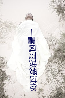 一霎风雨我爱过你