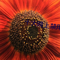 (й) - ٷվ