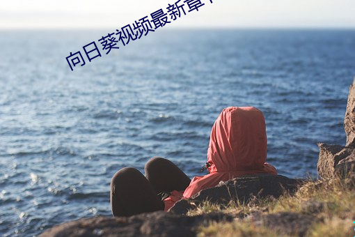 向日(日)葵视频(頻)最新章节