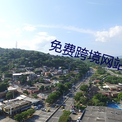 免费跨境网站 （公子）