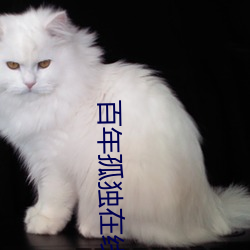 百年(年)孤(孤)独在线阅(閱)读