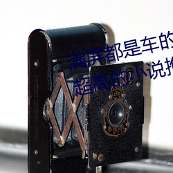 满屏都是车的耽美文叫什么 肉质超高的小说推荐 （别出手眼）