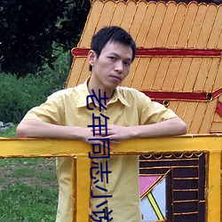 老(老)年同志小说