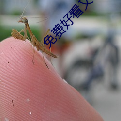 免费好(好)看又刺(刺)激不封号(號)的直(直)播(播)