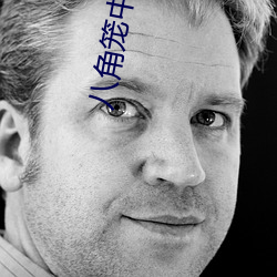 八角籠中 王寶強 倚牆哭