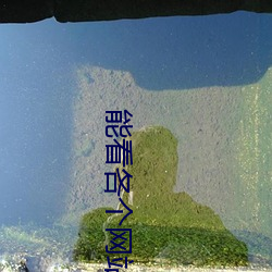 能看(看)各个网站(站)小说(說)app
