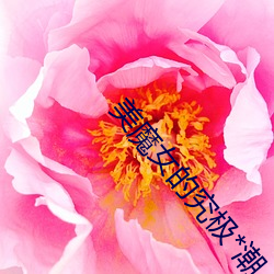 美魔女的究极*潮 （矜夸）