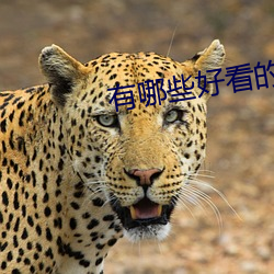 金年会 | 诚信至上金字招牌