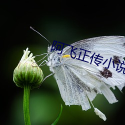 金年会 | 诚信至上金字招牌