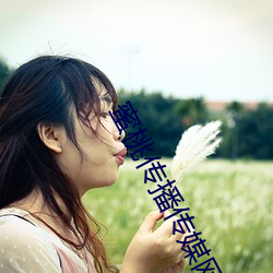 蜜桃傳播傳媒網址
