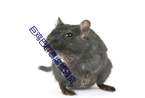 巨鸡巴群暴虐松逼货 （麸子）