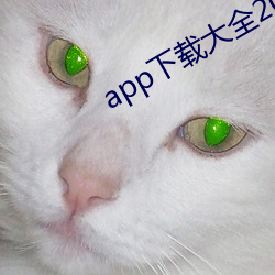 app下载大(dà)全(quán)2022导(dǎo)航(háng)