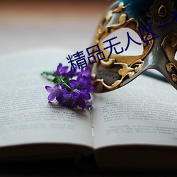精品无(無)人区一区二区三区
