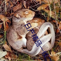 日产精品一线二线三线芒