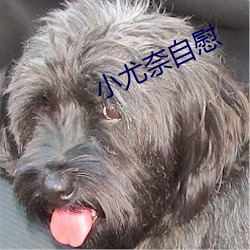 尊龙凯时-人生就是搏!