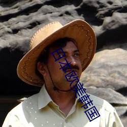日本欧(ōu)美韩国