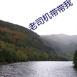 老司機帶帶我