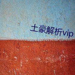 土豪解析vip
