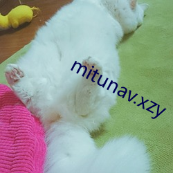 mitunav.xzy