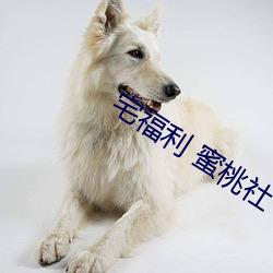 宅福利 蜜桃社