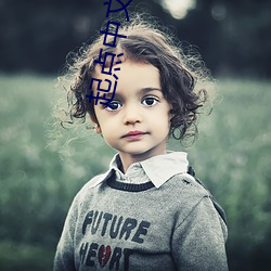 起点中文网小说 （了无