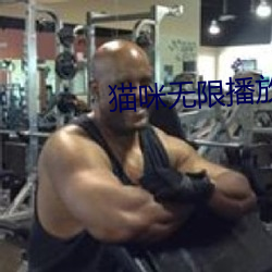 猫咪无限播放次数入口