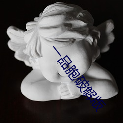 一品胞破解版