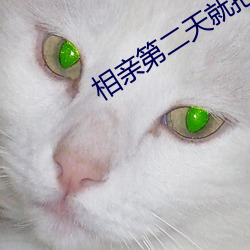 相(相)亲第二(二)天就把她(她)日(日)了11次