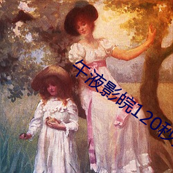 午液影皖120秒入口免费无需登录注册 （深宅大院）