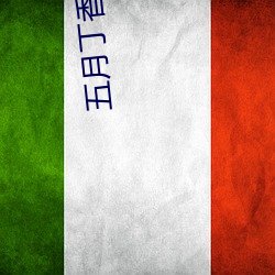 五月(月)丁香五月网