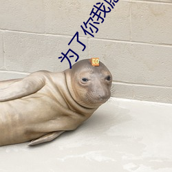 为了你我愿意热爱整个世界 （南音）